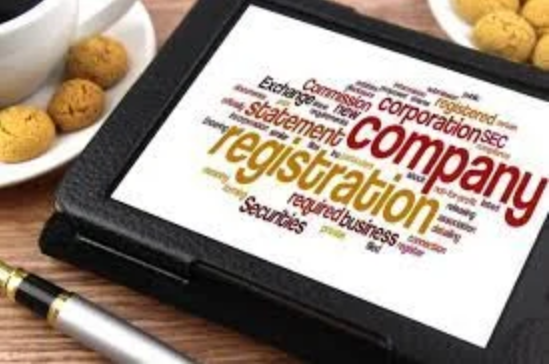 Choosing the Best Type of Business Registration for Your Idea