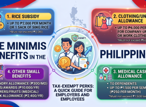 deminimis benefits in the philippines